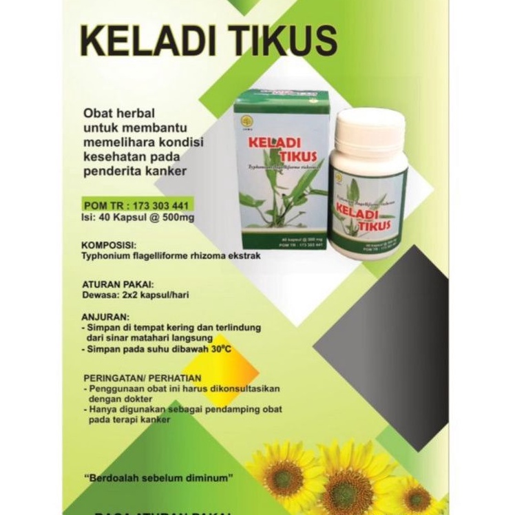 

Keladi Tikus Herbal Insani