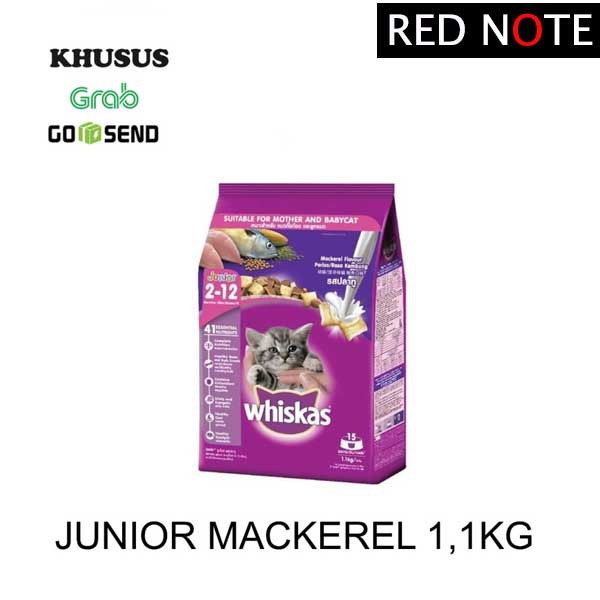 Whiskas Junior Mackarel 1.1kg (Grab/Gosend)