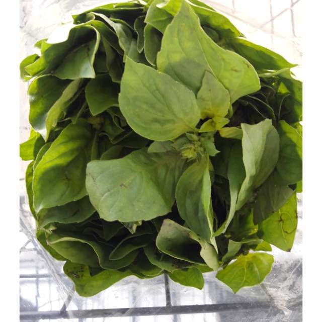 

DAUN KEMANGI 200 gram