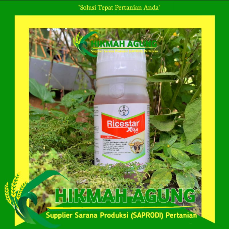 Herbisida Ricestar Xtra (herbisida padi cap banteng)