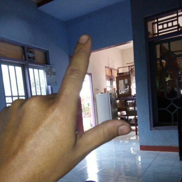 Koja Wadah Tempat Ikan Rk