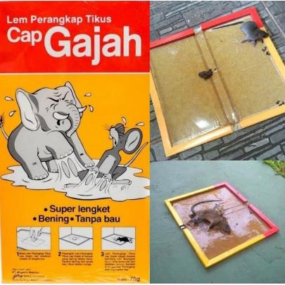 * NCC * Cap Gajah Lem Tikus Dengan Teknologi X-Glue Lem Perangkap Jaminan Tidak Lepas Rat Glue Trap