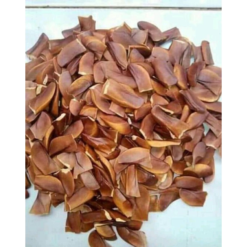 

jual buah biji mahoni 100grm