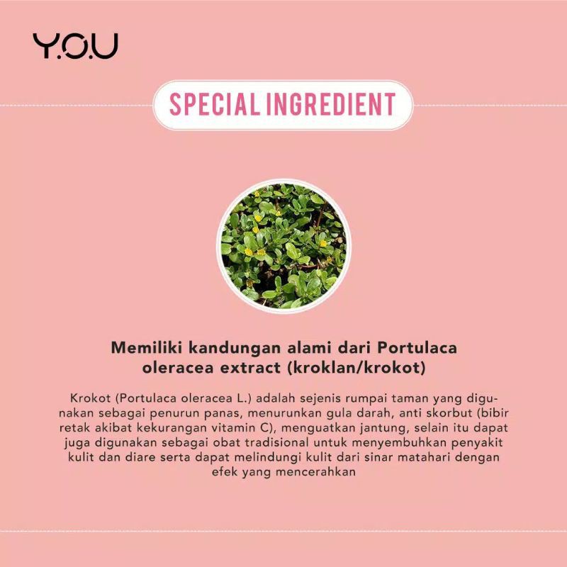 Kosmetik You The Simplicity Color Corrector CC Cushion