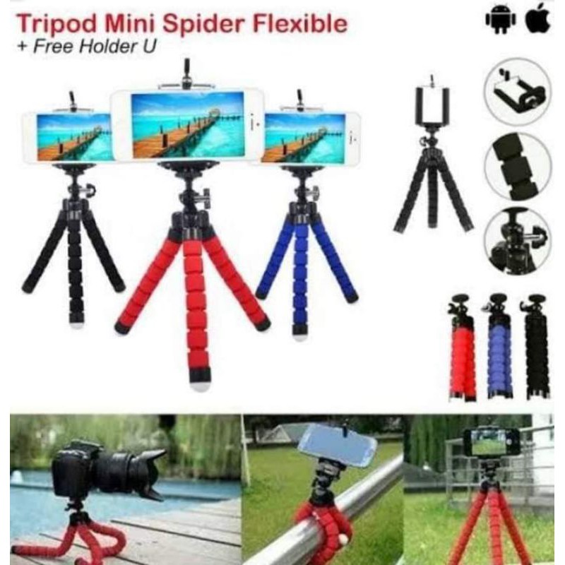 Tripod Spider