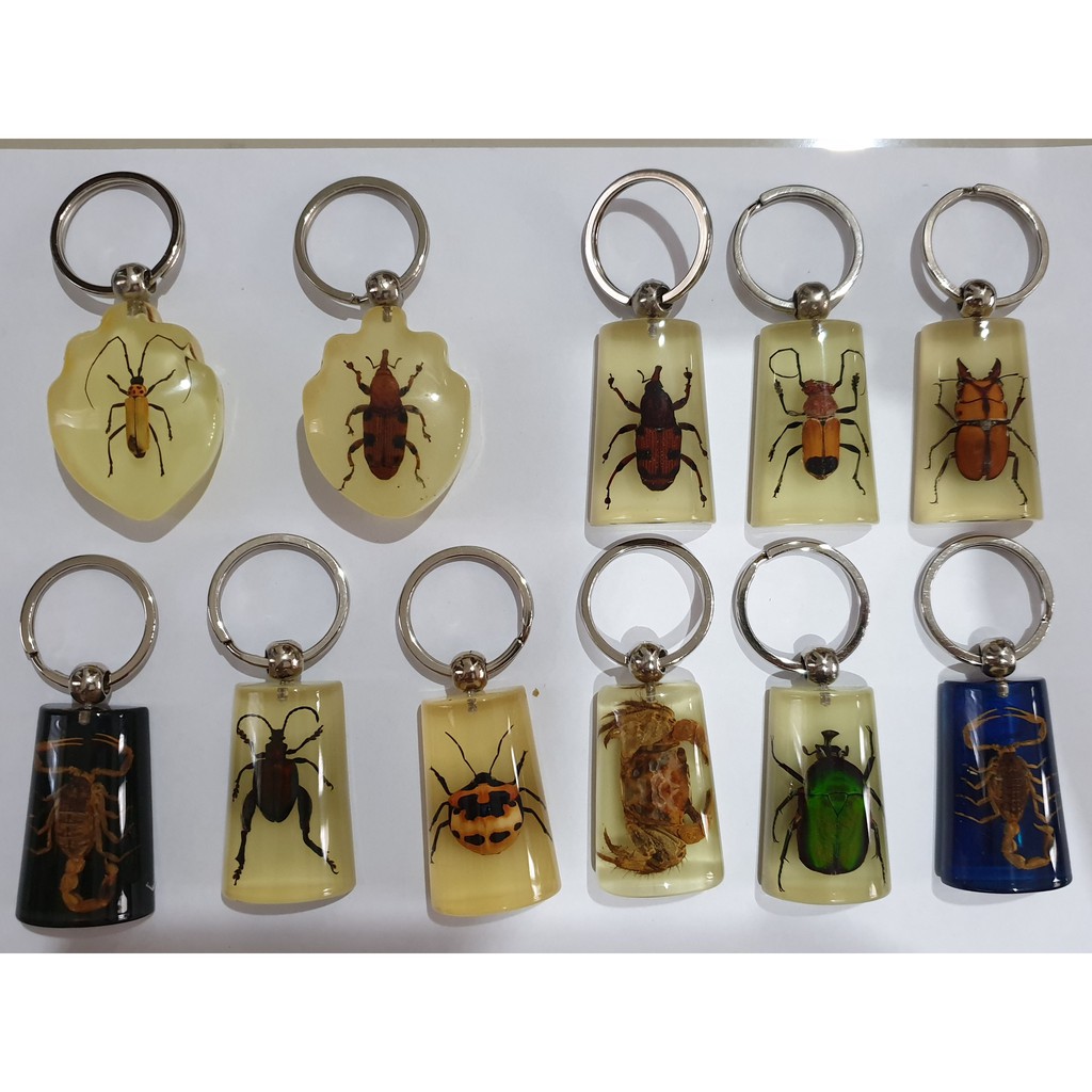 Kissmory Gantungan  kunci  Key chain Serangga  asli 