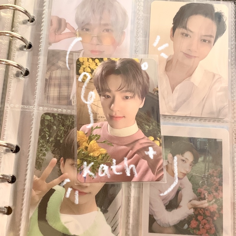 DINO ONE SIDE YOUR CHOICE PC BOOKED