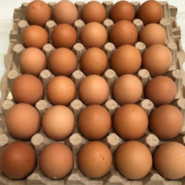 

Telur eropah besar (KHUSUS MEDAN DIANTAR SAMPAI TUJUAN)