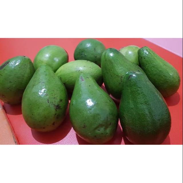 

Alpukat mentega super