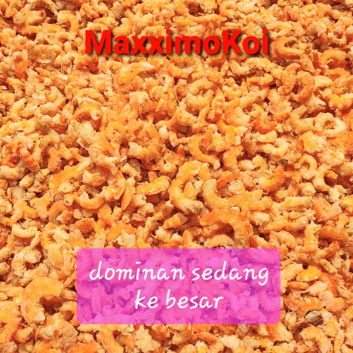 

Q12 Ebi / Hebi / Udang Kering Medan Grade Super 1 Kg - Campur, 100 Gram Dw51qs