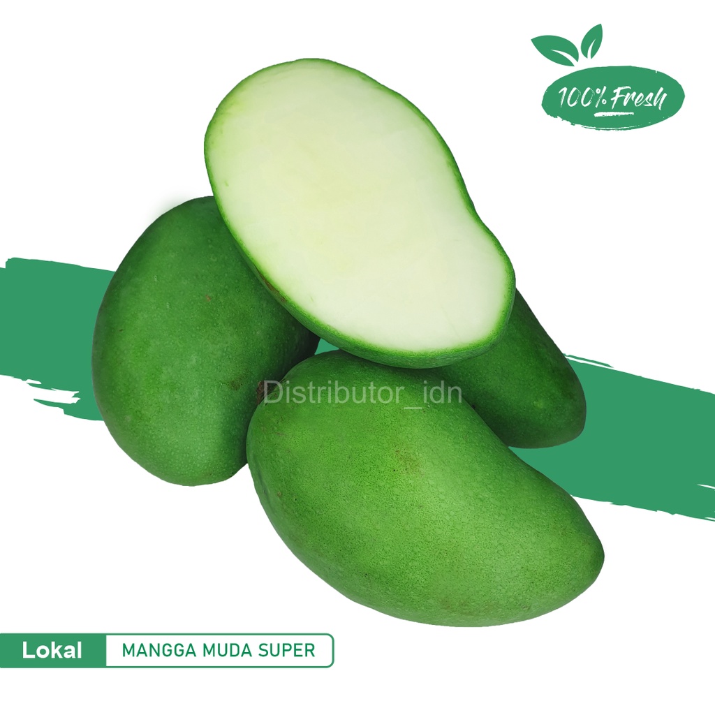 Mangga Muda Rujak 1 Kg/buah rujak/rujak/buah segar/buah