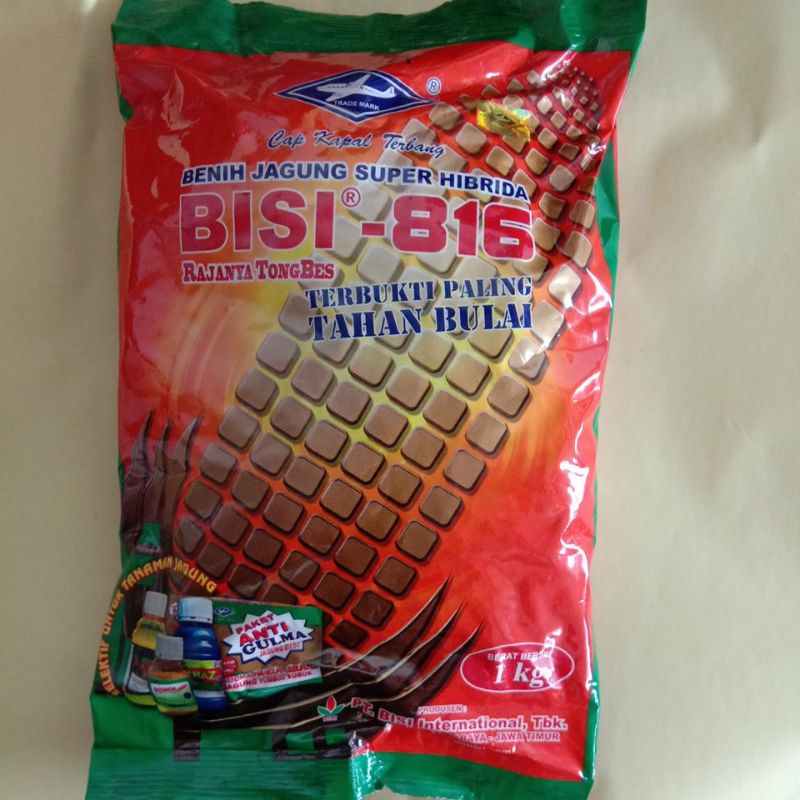 Benih Jagung Super Hibrida BISI-816