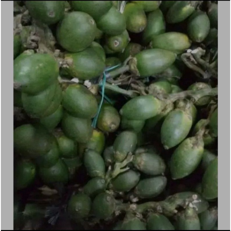 

Buah pinag muda segar