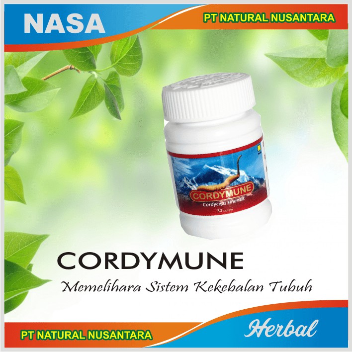 

Cordymune suplemen untuk kekebalan tubuh