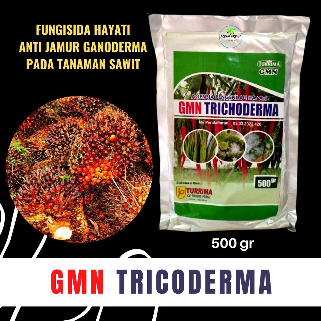 Pupuk Fungisida Hayati Anti Jamur GANODERMA Pada Tanaman Kelapa Sawit, Obat Penyakit Jamur Genoderma