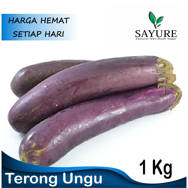 

TERONG UNGU FRESH 1 KG