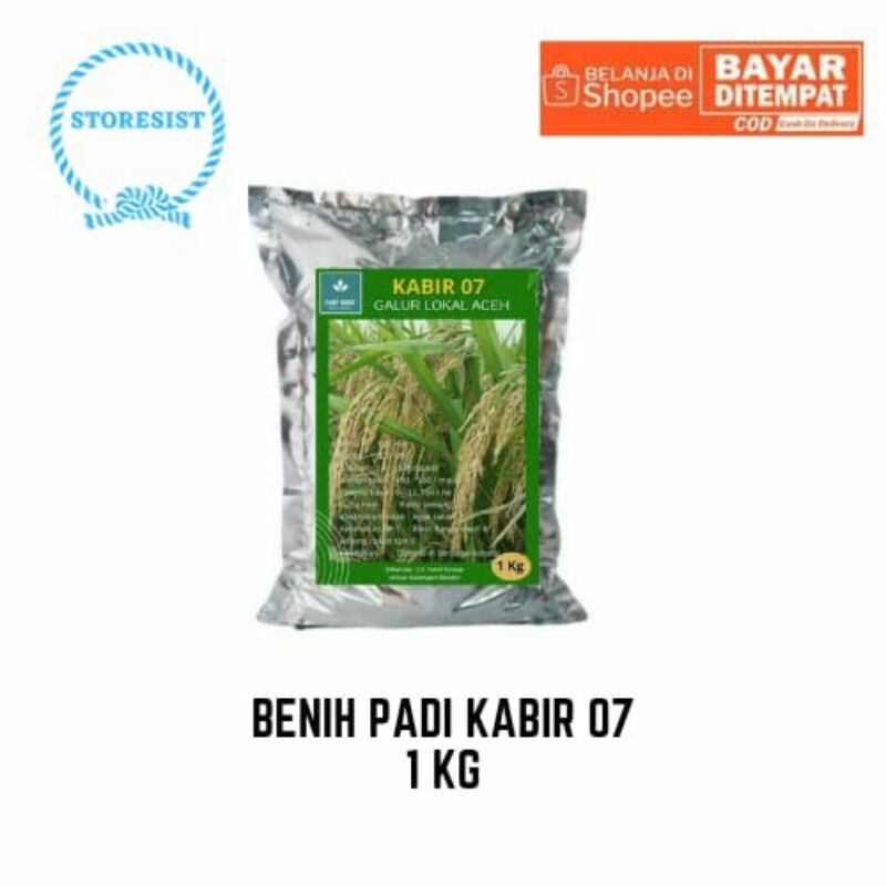 Benih Padi Kabir 07 Galur Aceh 1 Kg