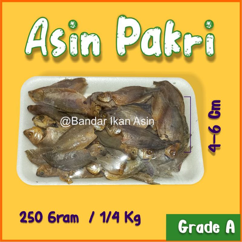 

Ikan Asin Pakri Premium