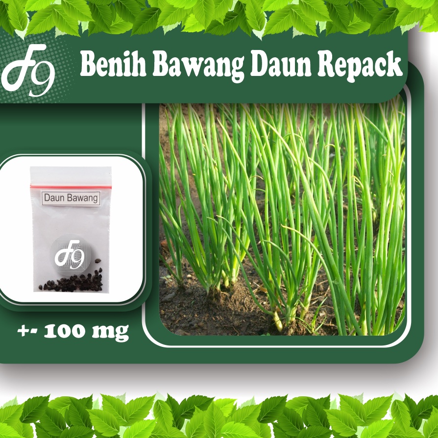 Benih Bibit Bawang Daun Murah Repack Seribuan