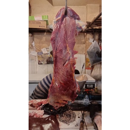 

daging paha segar lokal dijamin halal