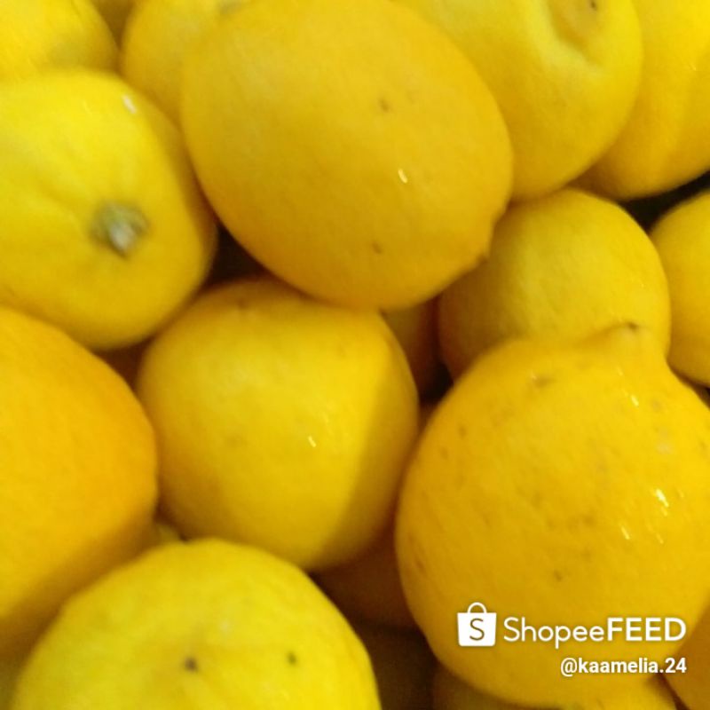 

lemon brastagi
