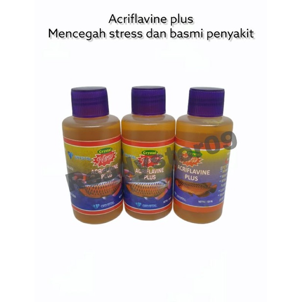 Acriflavine plus obat luka ikan dan segala penyakit ikan hias