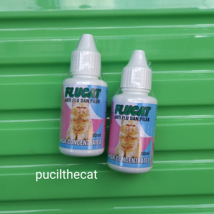 NEW Flucat Flu Cat Obat Flu Kucing Obat Pilek Kucing Obat Flu dan Pilek Ku