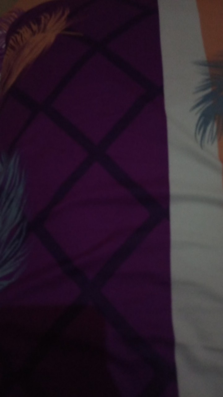 Raishacollection Sprei Lady Rose Ukuran 180x200 Banyak Motif