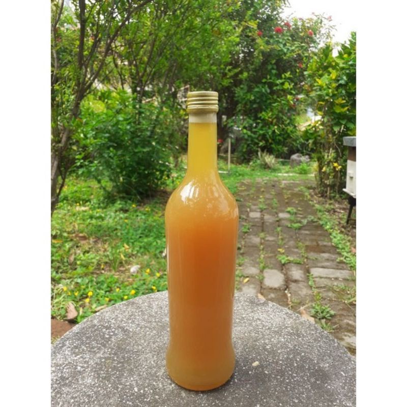 

Promo Madu Murni Asli Madu Hutan Kaliandra
