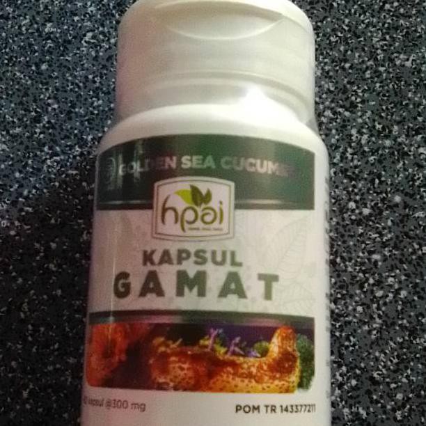 DISCOUNT GAMAT KAPSUL HNI HPAI/GAMAT EMAS/TERIPANG EMAS DISCOUNT