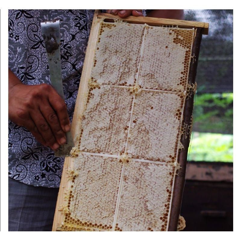 

PROMO RAMADHAN madu akasia 1 kilo