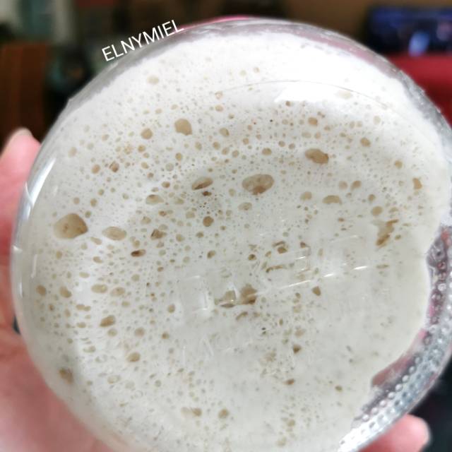 

Bundling Sourdough Starter, maintenance, Sourdough Shokupan recipe