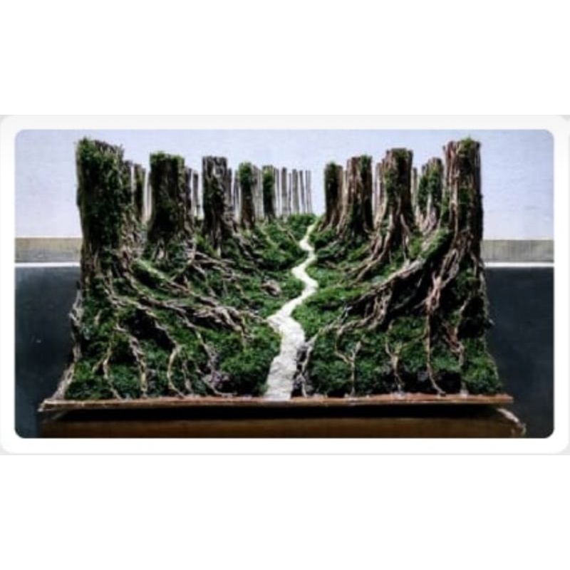 hardscape jungle siap pakai untuk tank 60 cm free planting mos bergaransi selamat sampai tujuan