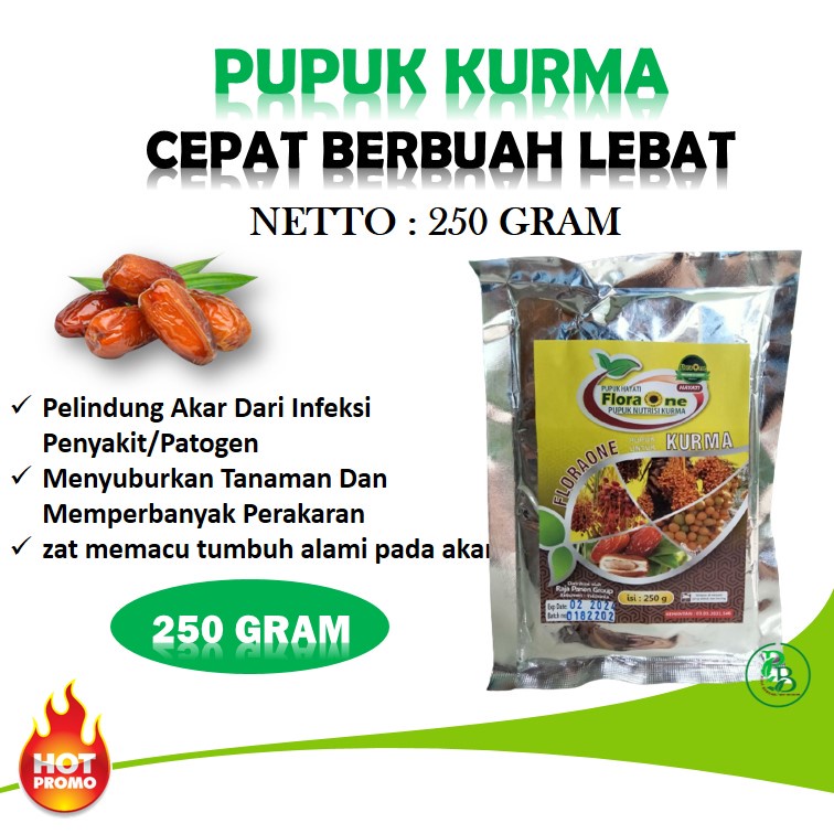 nutrisi buah kurma, pupuk kurma cepat berbuah, pupuk hayati untuk pohon kurma, pupuk booster kurma