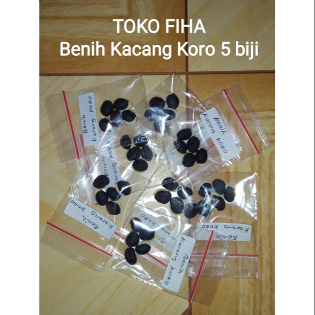Benih Kacang Koro Super - 5 biji siap tanam