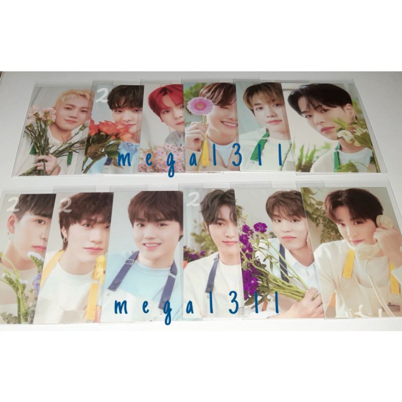 PC BINDER BLOOMING TREASURE / BINDER HARUTO JUNKYU ASAHI JIHOON