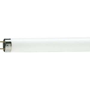 PHILIPS TL-D 18W/54-765 - Lampu Neon 60cm - KHUSUS OJOL