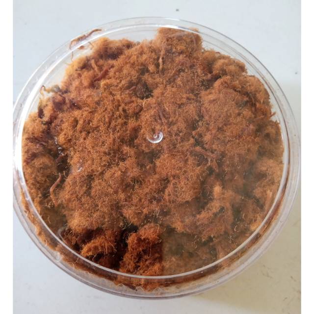 

Abon ayam 150 gr