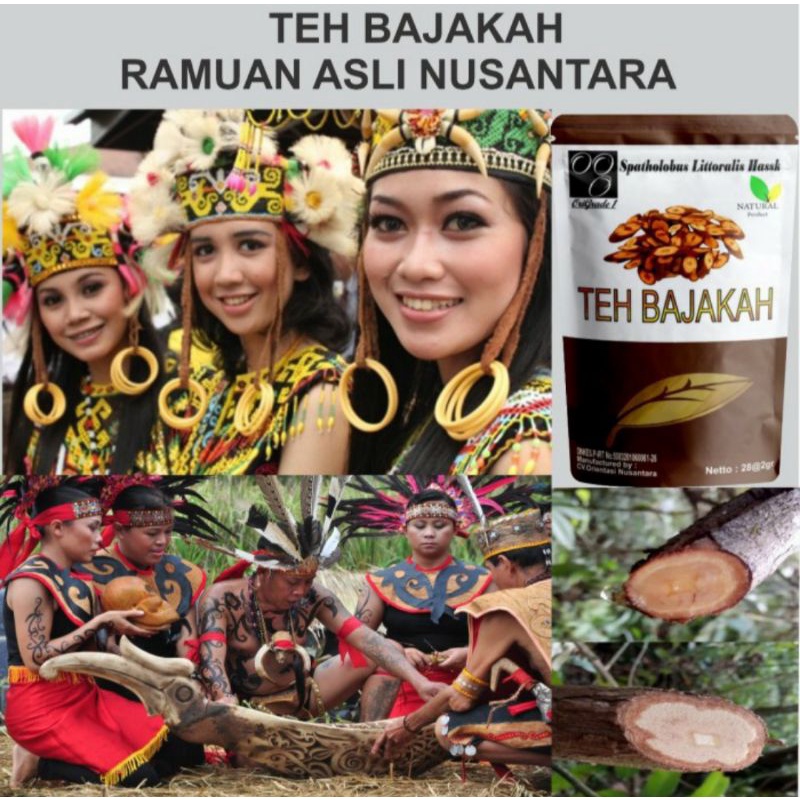 

Teh Bajakah 100% Asli Kalimantan Ampuh Mengobati berbagai Penyakit