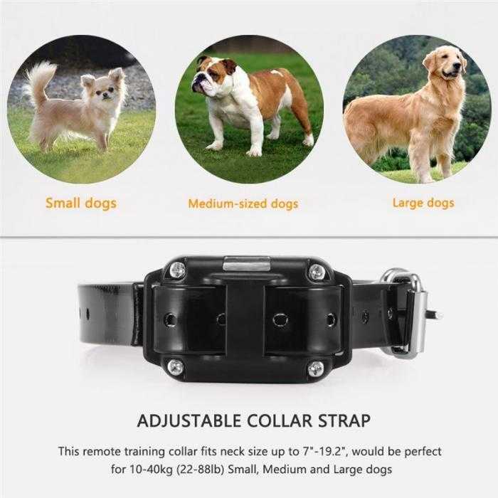 Pet Dog Training Shock Collar Stop Barking Device 1000 Meter Remote Alat Latihan Anjing