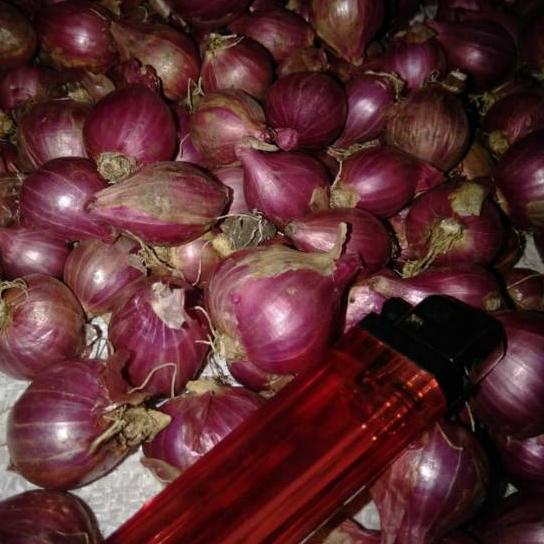 

Kekinian - Bawang merah Probolinggo