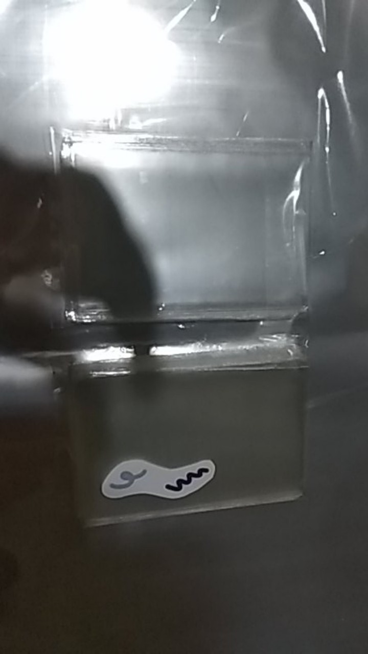 [read Desk] Opp & Innersleeve