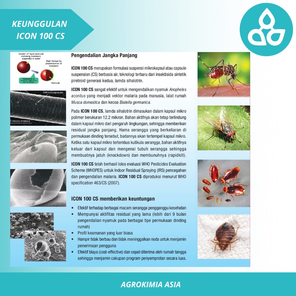 Obat Basmi Nyamuk &amp; Serangga - Obat Nyamuk Lalat Kecoa dan Kumbang - Obat Basmi Serangga Rumahan  Icon 100CS 1 Liter