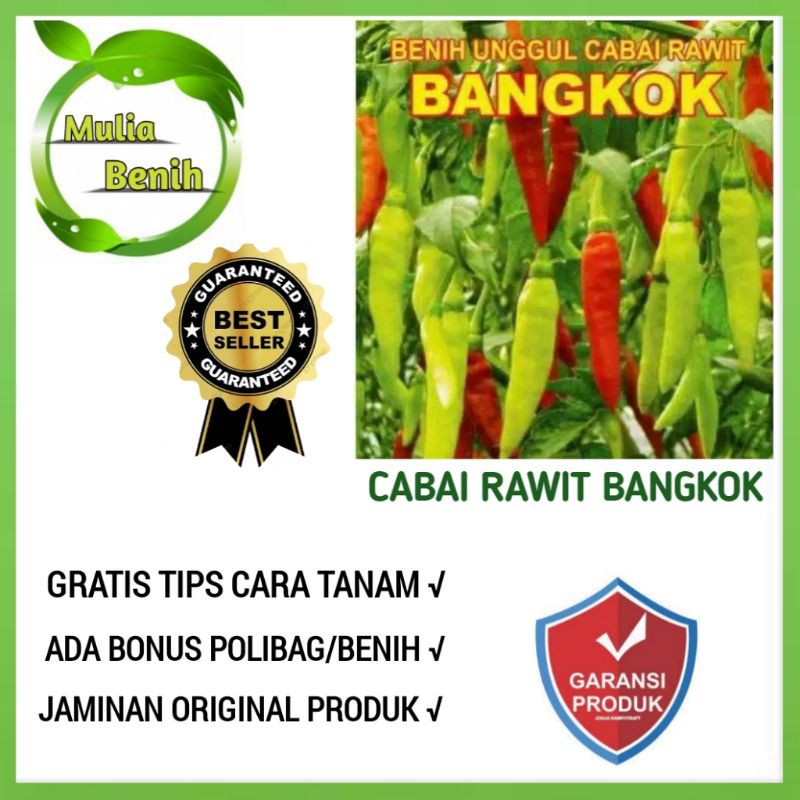 √COD] 50 Biji - Benih Cabai Rawit BANGKOK - Bibit Tanaman Sayur Sayuran Cabe Cabai Cabe Setan Viral
