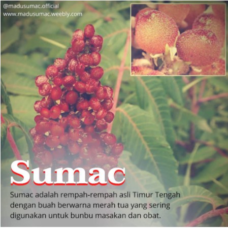 Madu Sumac Madu Daya Tahan Tubuh Meningkatkan Imun Penangkal Virus