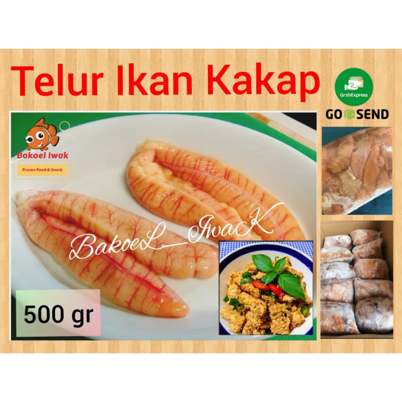 

Telor Ikan Kakap 500 gram (Fresh)