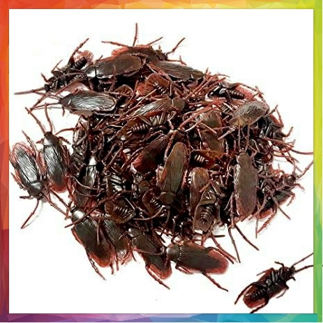 Mainan mengenal binatang bentuk kecoa fake cockroach lucu