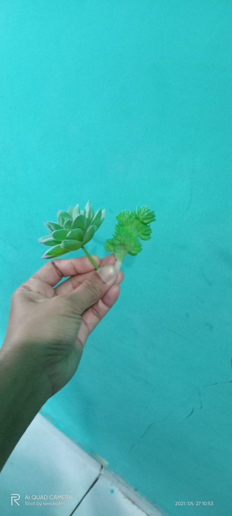 Artificial Cactus/suculent//cactus Mini/kaktus Plastik/purpule Lotus