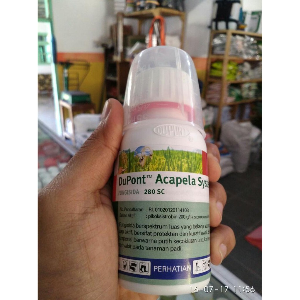 Tenar Acapela Obat Pembasmi Jamur