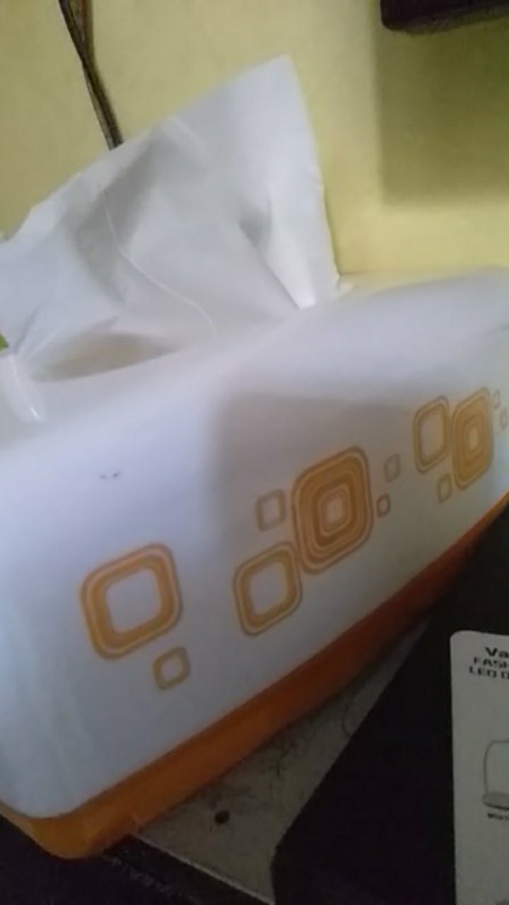 Batamgrosir.id | Tempat Tisu - Kotak Tisu Persegi Panjang - Holder Tissue Joyita Green Leaf 1257